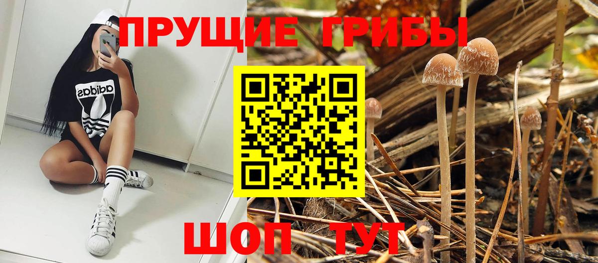 Галлюциногенные грибы ЛСД Ковров